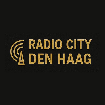 city den haag banner